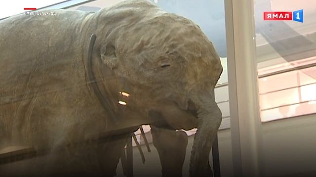 Мамонтенок Люба отправляется в очередное путешествие смотреть онлайн