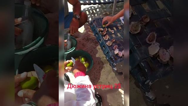 Дюжина устриц на Маргарите (Венесуэла) за 2$??? смотреть онлайн