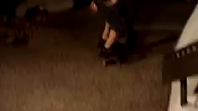 CHAD MUSKA - Tony Hawks Pro Skater 2 смотреть онлайн