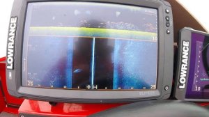 как показывает рыбу эхолот на примере LOWRANCE ELITE TI 2 12 и FS9  с датчиком  ActiveTarget Live,