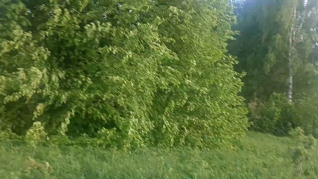 полянка, где жила Баба Маша смотреть онлайн