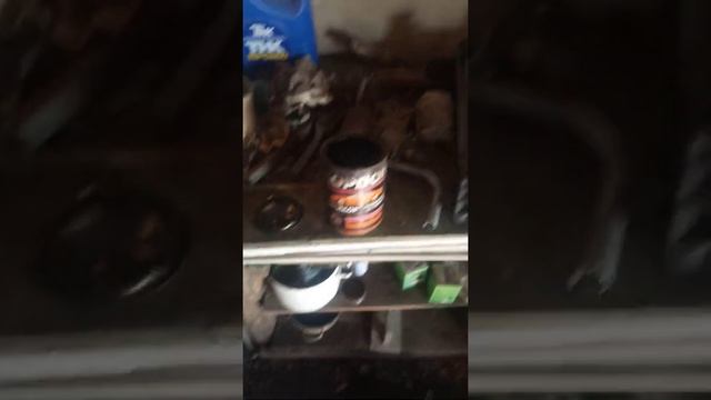 Антикор Кордон. смотреть онлайн