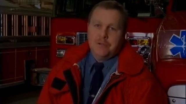 10 Немецкий гладкошёрстный пойнтер, гаванский бишон, далматинец, померанский шпиц, хаски смотреть онлайн