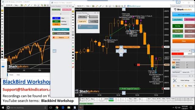 BlackBird Workshop - Using the DM Indicator as a Stop-Loss Offset смотреть онлайн