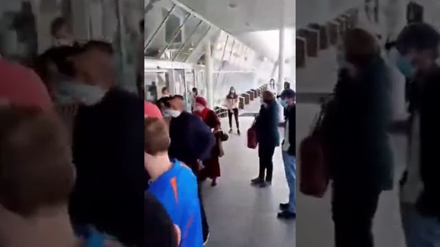 В «Борисполь» прилетел рейс с украинцами, эвакуированными из Вьетнама смотреть онлайн