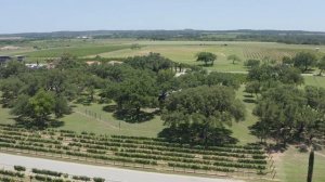 Техас, США. Почему все переезжают в Техас? В чём секрет успеха Техаса.