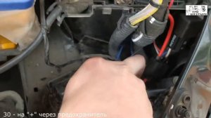 Не заводится Пежо 206. Не работает бензонасос