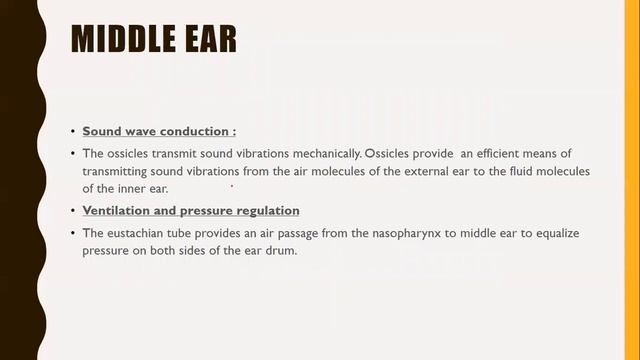 Assessment of Ear смотреть онлайн