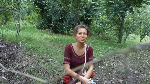 Гималаи (Индия, Химачал Прадеш), долина Кулу. Первые впечатления смотреть онлайн