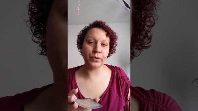Response to a few questions: Tarot/Oracle Readings and Reiki смотреть онлайн