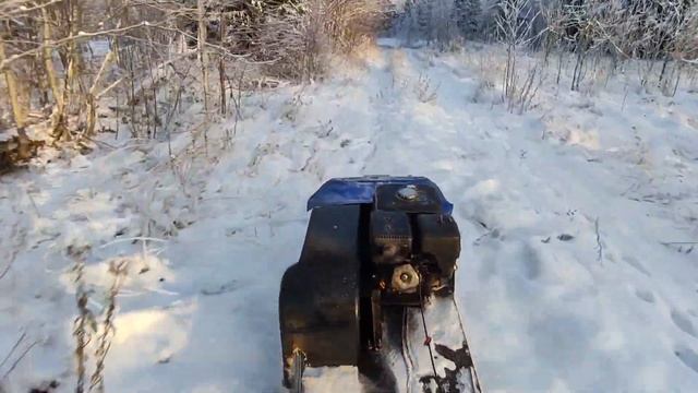 "Тайга" Снега совсем мало. Еду к домику на дереве на МОТОСОБАКЕ! смотреть онлайн