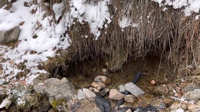 ИЗ ГЕРМАНИИ В КАЗАХСТАН/ПОЕХАЛИ НА РОДНИК ЗА ВОДОЙ/ЖИЗНЬ ПОСЛЕ ГЕРМАНИИ смотреть онлайн
