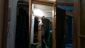 Грузовой шнур для сетей