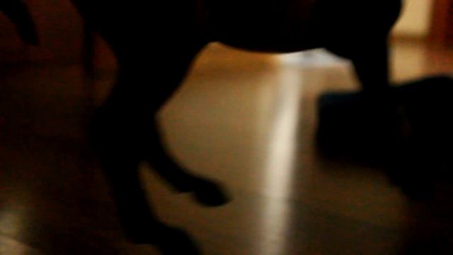 ЭПИЧНО ЗАРЯЖАЮ ФОТИК смотреть онлайн