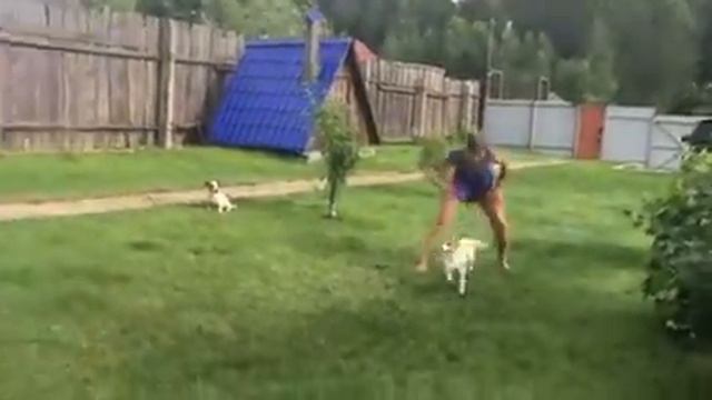 Задание 1 попытка № 2