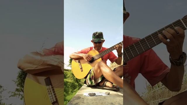 Review Yamaha C80