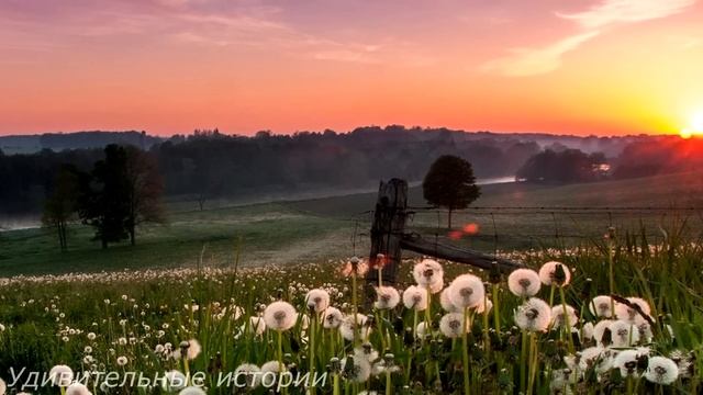 Сирота-санитарка забеременела от бомжа. В больнице над ней посмеивались, но спустя три месяца... смотреть онлайн