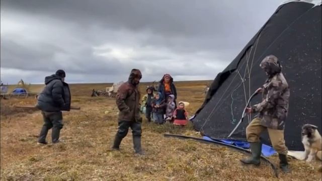 Депутаты,- Помогите решить две ничтожные проблемы Коми оленеводов смотреть онлайн