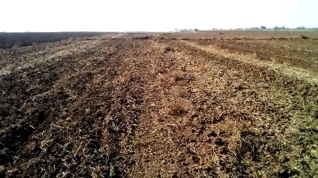 Персиковый сад , начало. смотреть онлайн