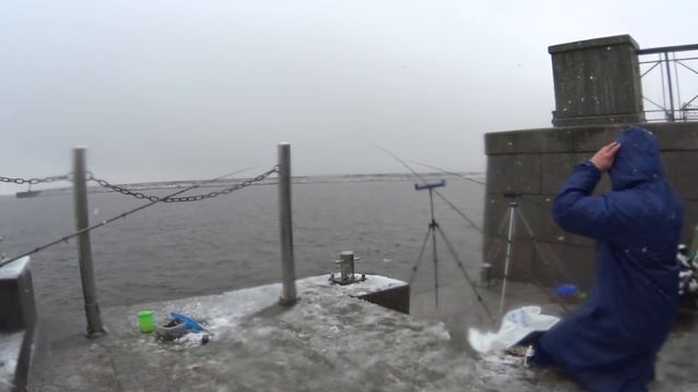 Ловля на фидер в Стрельне смотреть онлайн