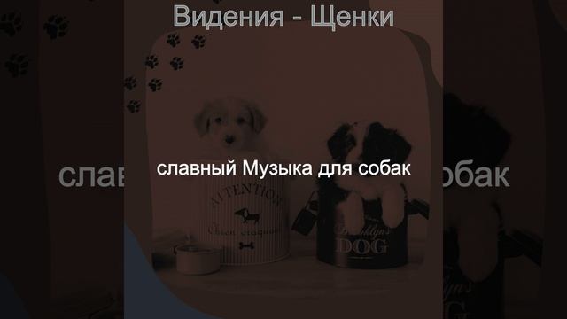 Настроения (Выгул собак) смотреть онлайн
