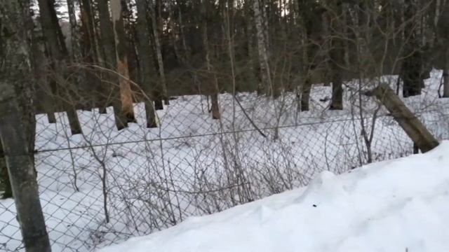 89,5 МГЦ. Радио России. Новозыбков. Антеннка 1,2м. смотреть онлайн