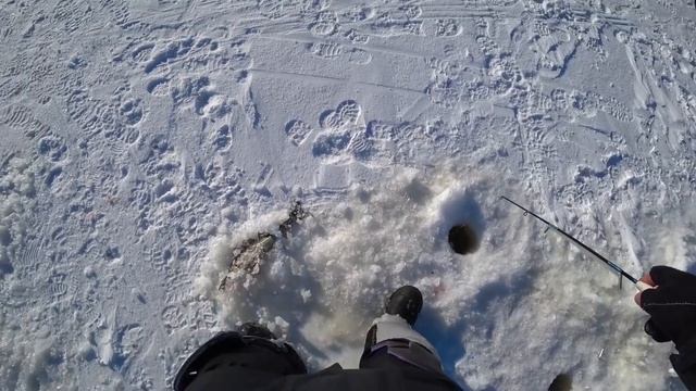 Ловля судака на ратлины горе море Маднес смотреть онлайн