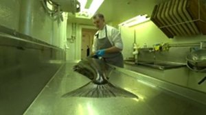 РАЗДЕЛЫВАЮ ОГРОМНОГО БЕЛОКОРОГО ПАЛТУСА 30 кг. В ОХОТСКОМ МОРЕ