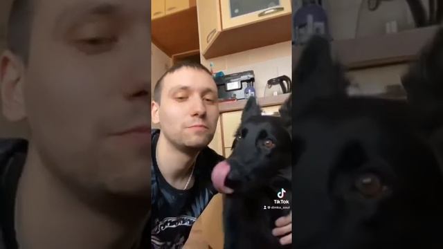 КАК ВЫУЧИТЬ ВСЕ ПРАВИЛА ПДД #Shorts смотреть онлайн
