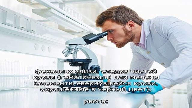 Анкилостома у собаки: симптомы и лечение смотреть онлайн