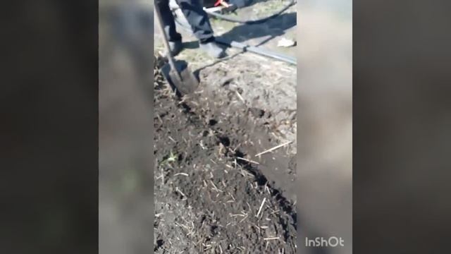 Компостная яма, обработанная ЭМИКСОМ. Результат через год! смотреть онлайн