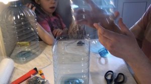 Лайфхак. Нерестовик для ДАНИО из пластиковой бутылки своими руками! Быстро и эффективно!