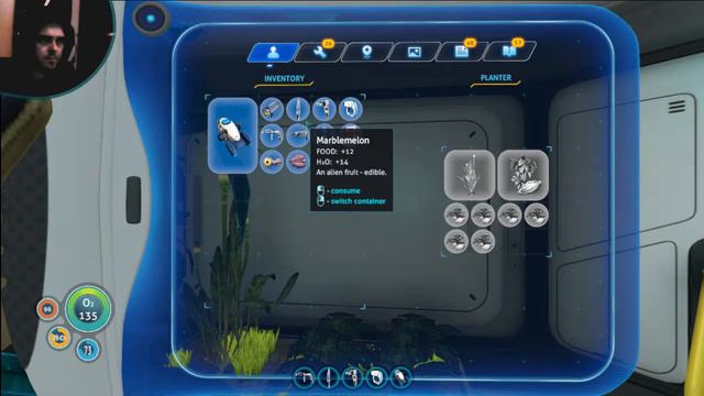 NeXuS Island Subnautica 36 Continuum