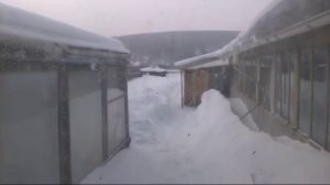 26/18  Лук в теплице - от посадки до сбора урожая