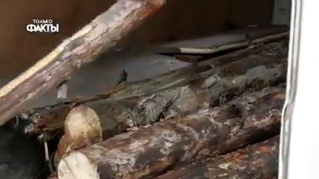 Законы России смотреть онлайн