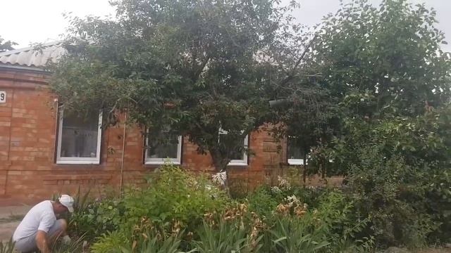 Ейск?Работа на участке перед окнами. Огород тёти Ани.  Наша вишня...