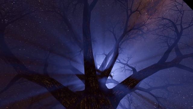 Спокойной ночи! Сказочных снов!