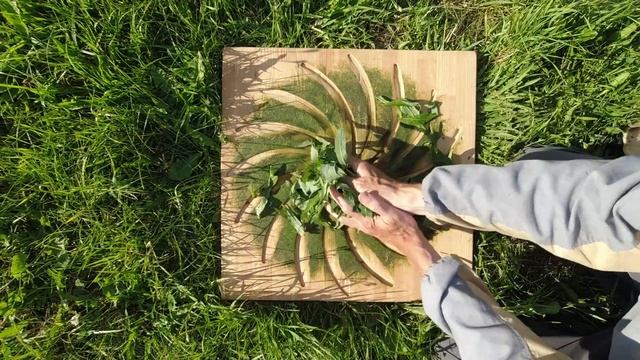 ИВАН-ЧАЙ / Все этапы заготовки (сбор, подготовка, ферментация, сушка, хранение). Кипрей, русский ча смотреть онлайн