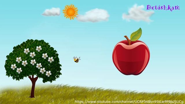 Учим Фрукты. Яблоко. Что такое яблоко и как оно появляется. Развивающий мультик смотреть онлайн