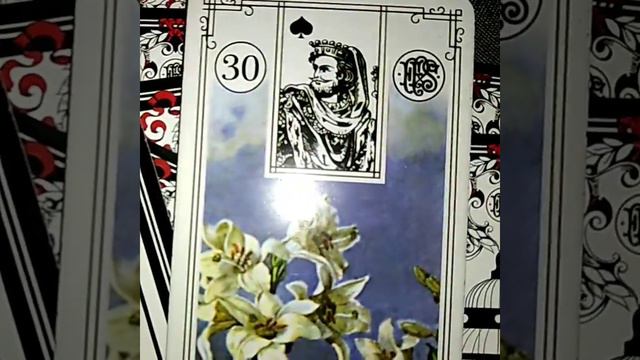 Карта дня на 20 марта смотреть онлайн