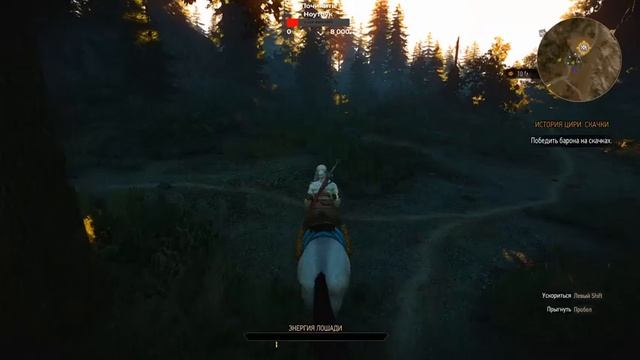 The Witcher 3 Wild Hunt ► Глава 7 ►Свободу Тамаре смотреть онлайн
