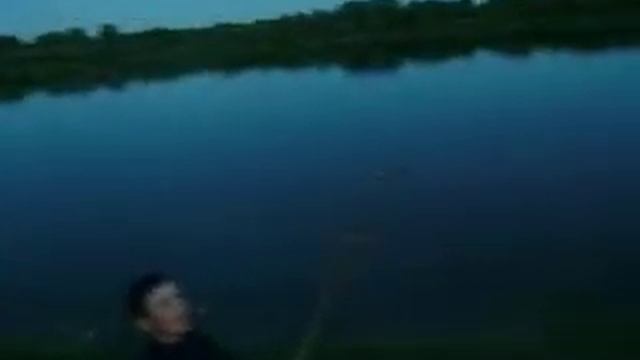 рыбы нет жарим сосиски смотреть онлайн