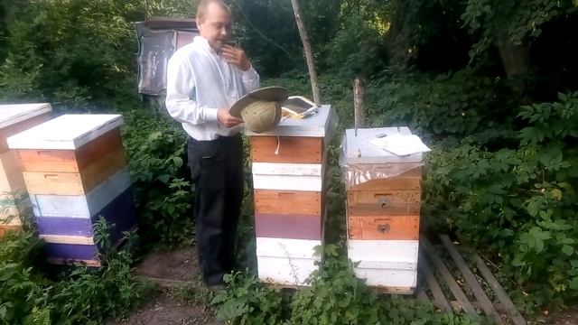 Маска пчеловода с металлической сеткой смотреть онлайн