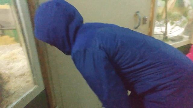 Наши приключения в Арктическом зоопарке Ranua. смотреть онлайн