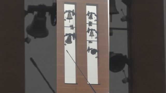 Дзвони 31-07-2022 смотреть онлайн