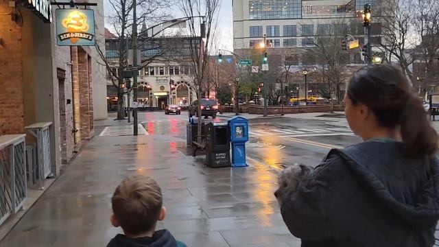 Жизнь в США  Южная Каролина Прогулка по Эшвил Северная Каролина