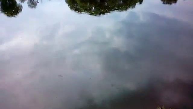 Рыбалка в Сосенках смотреть онлайн