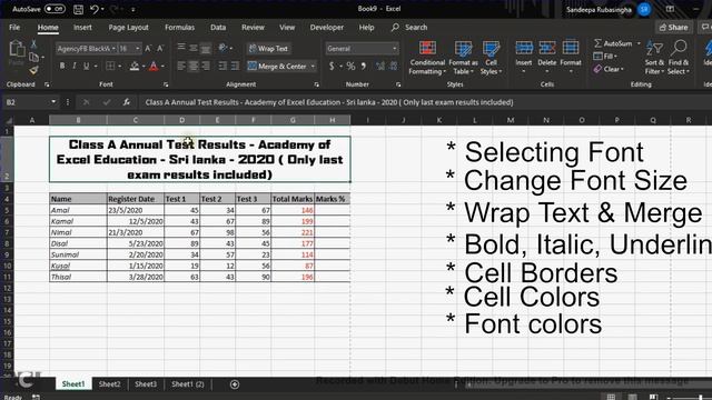 Excel Cell Formatting-Tips-Tricks-Sinhala - Format Painter පාවිච්චි කරන්න පුළුවන් ක්රම දෙකක්. смотреть онлайн