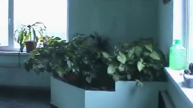 Дача в Жёлтом - Луганск 2011.mpg смотреть онлайн