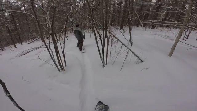 Лесной тюлень, часть 1. Мраткино, южный склон. смотреть онлайн